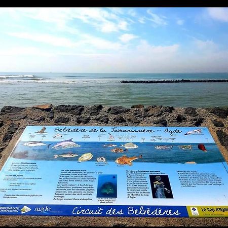 Vacance Au Grau D'Agde Le Grau-d'Agde Exterior photo