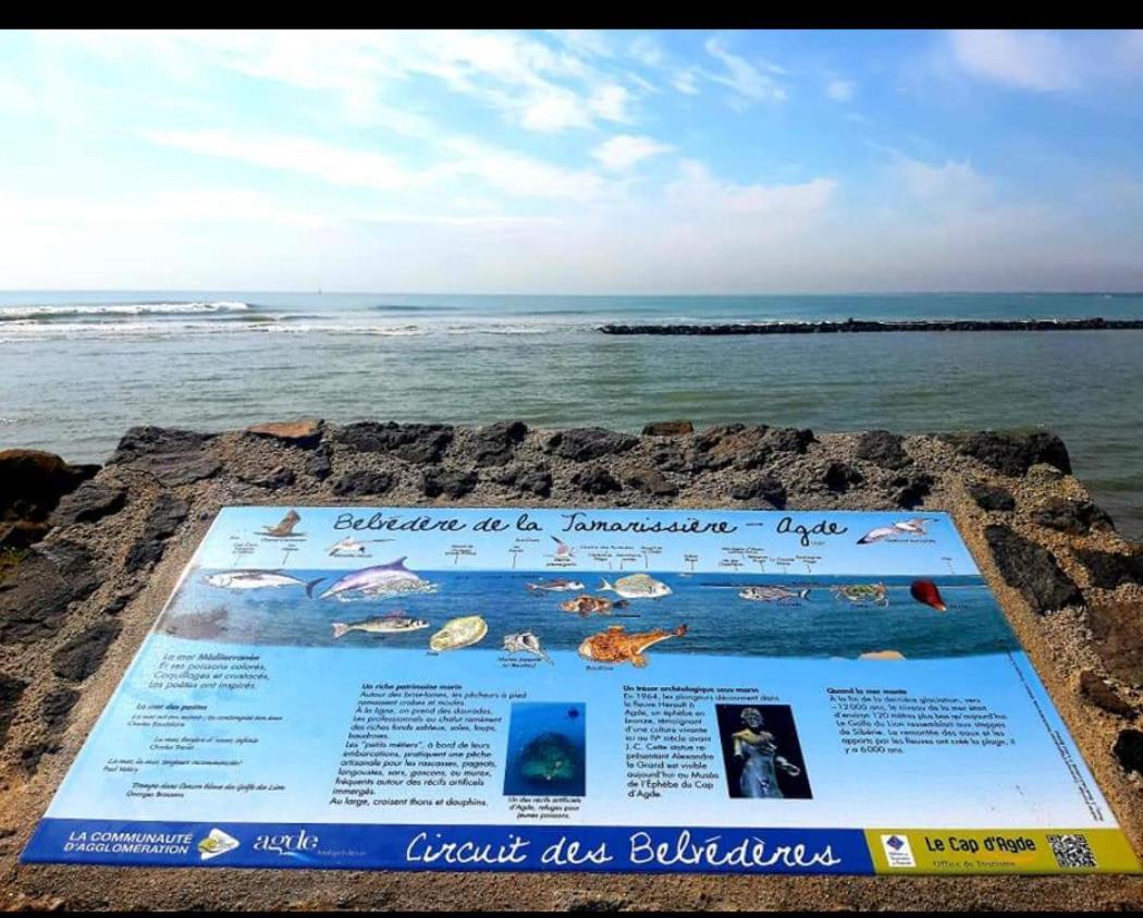 Vacance Au Grau D'Agde Le Grau-d'Agde Exterior photo